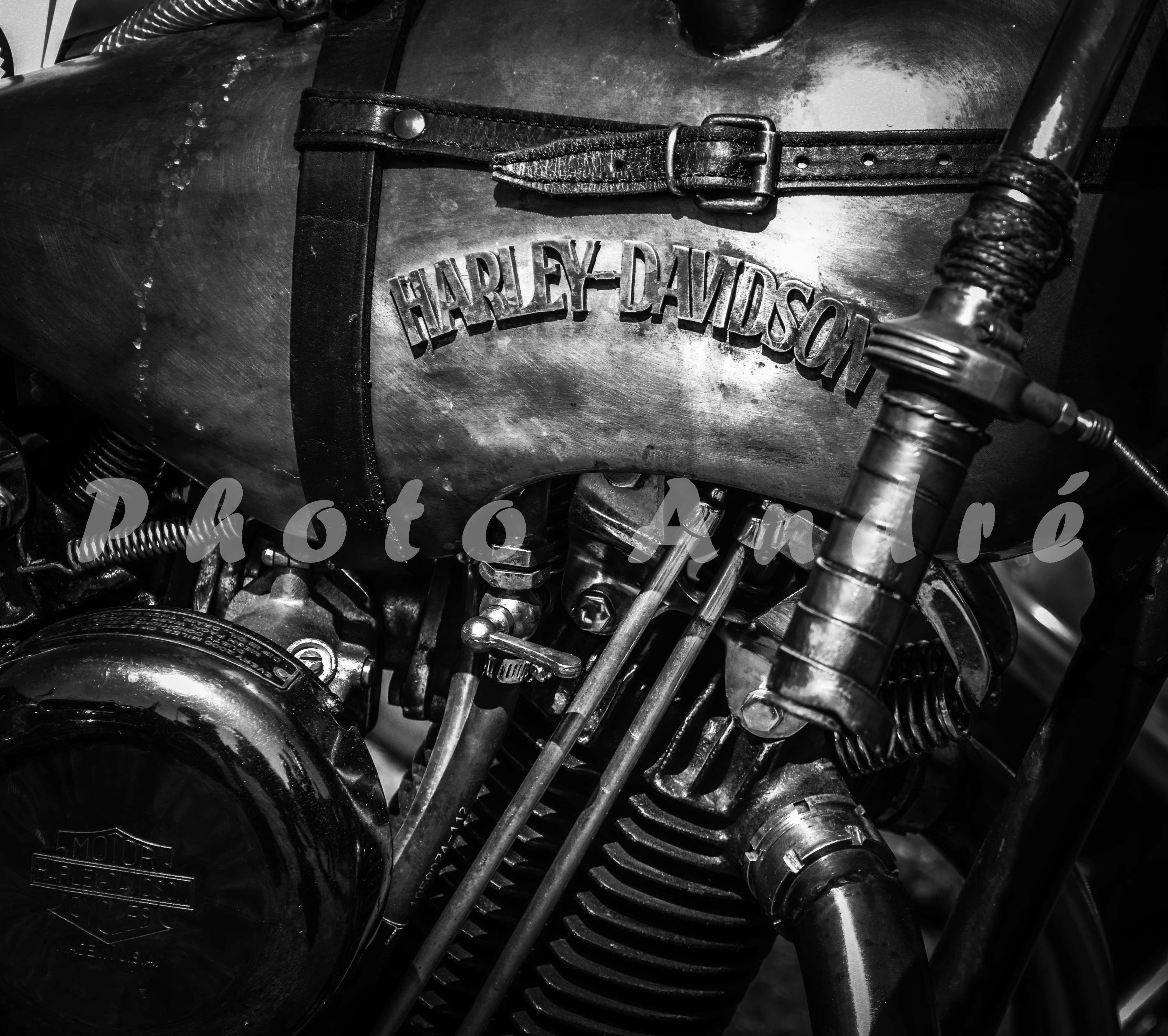 Wheels & Waves Biarritz 07