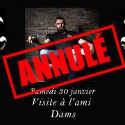Dam s annule