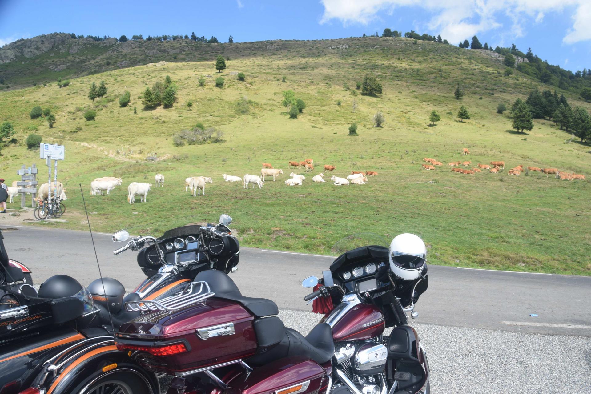 COl d'Aspin,