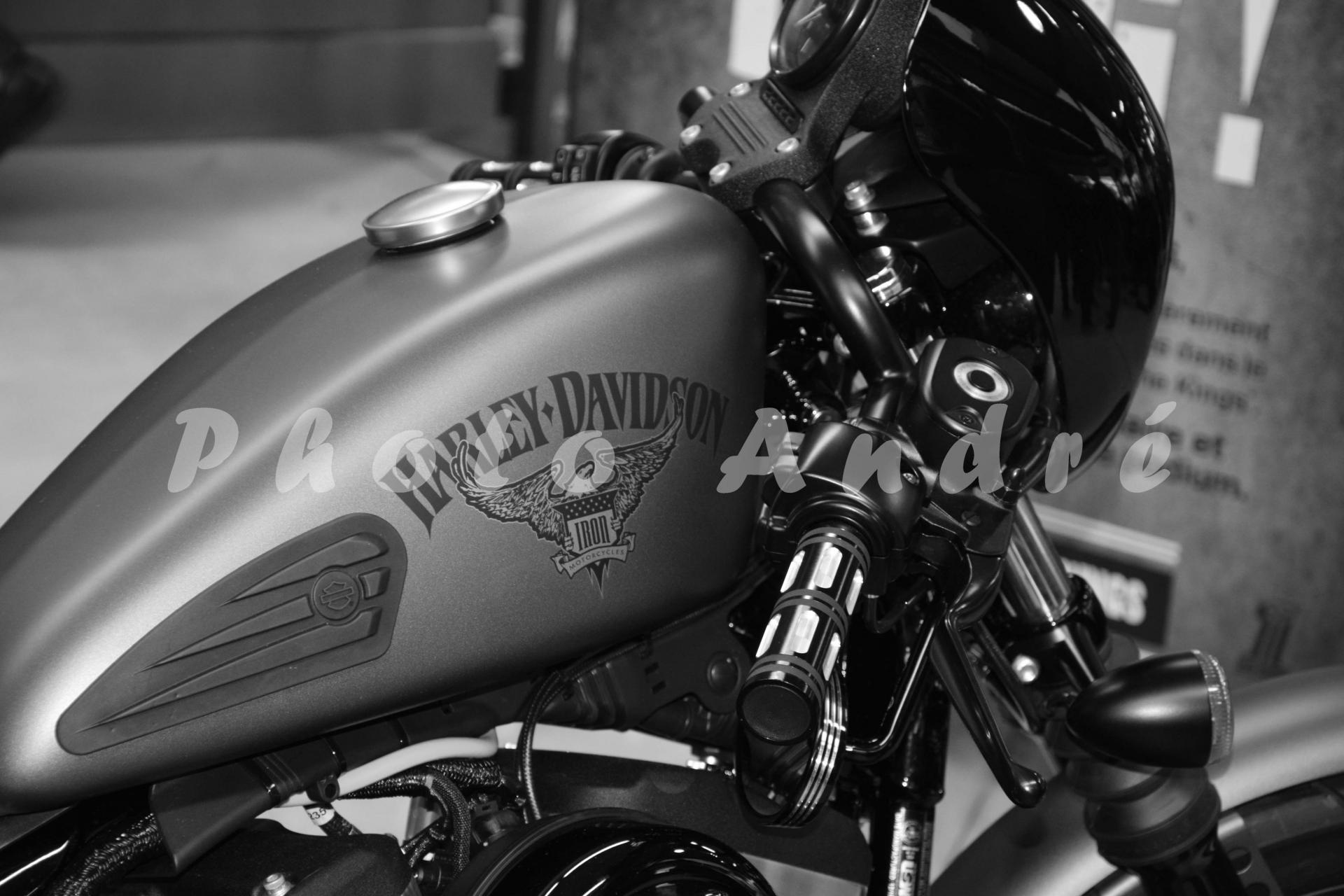 Harley 883 iron 9500