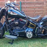 Harley davidson softail slim