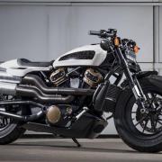 Custom Harley Davidson 2021