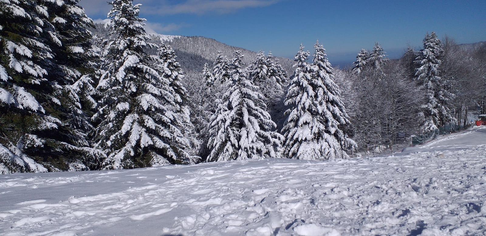 We dans les pyrenees