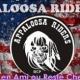 appaloosa13